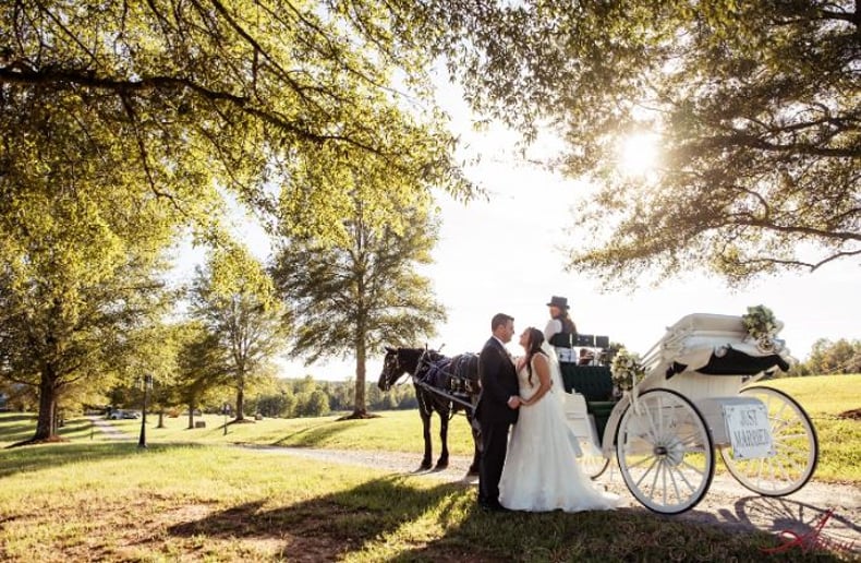 Gallery photo 2 of Southern Breezes Carriages
