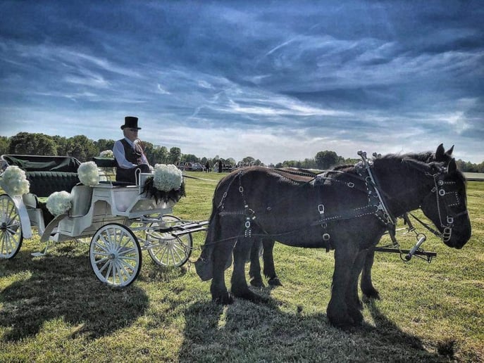 Gallery photo 3 of Southern Breezes Carriages