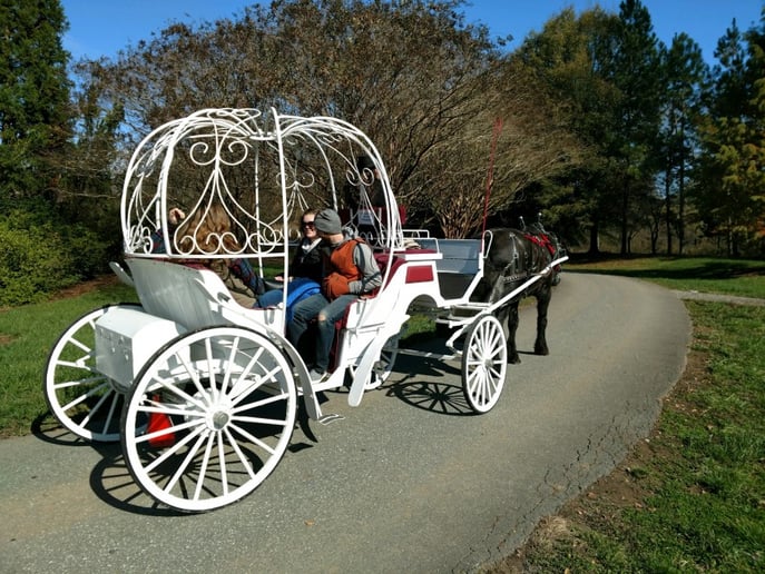 Gallery photo 6 of Southern Breezes Carriages