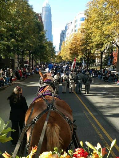 Gallery photo 7 of Southern Breezes Carriages