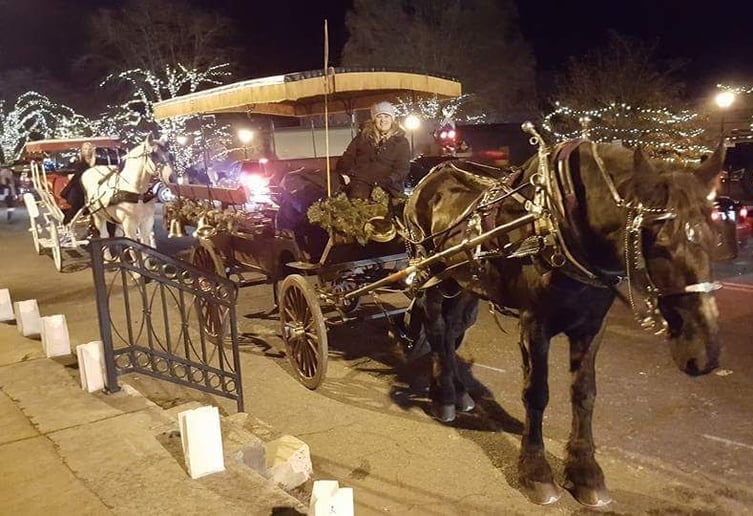 Gallery photo 8 of Southern Breezes Carriages