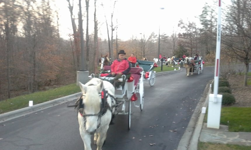 Gallery photo 11 of Southern Breezes Carriages