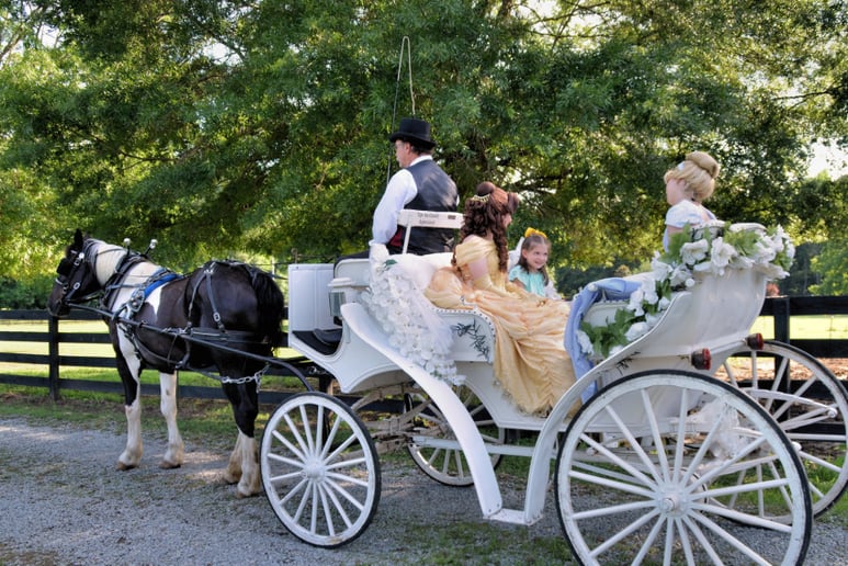 Gallery photo 4 of Southern Charm Carriages LLC