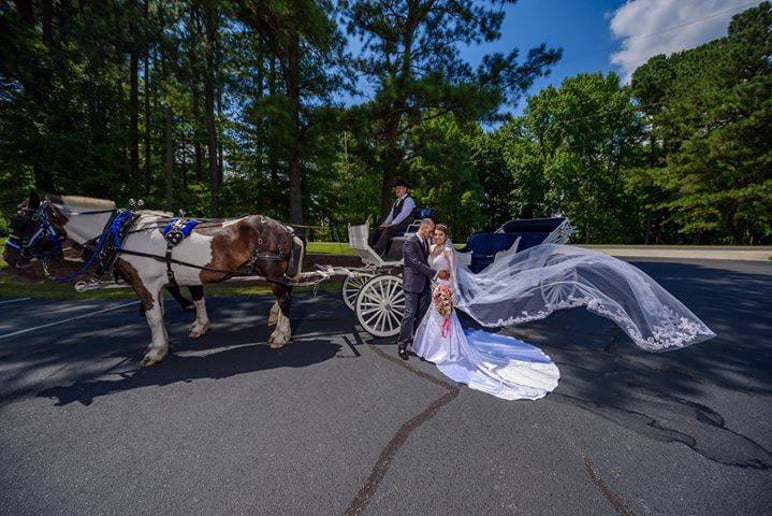 Gallery photo 5 of Southern Charm Carriages LLC