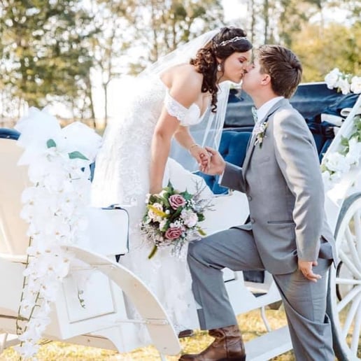 Gallery photo 6 of Southern Charm Carriages LLC