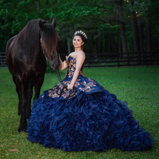 Gallery photo 7 of Southern Charm Carriages LLC