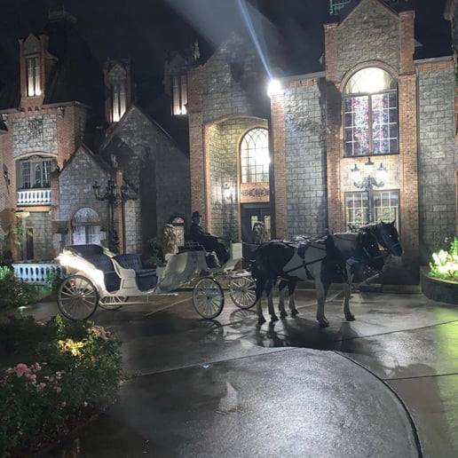 Gallery photo 8 of Southern Charm Carriages LLC