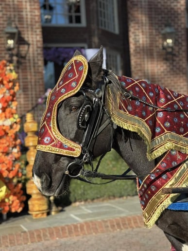 Gallery photo 10 of Southern Charm Carriages LLC