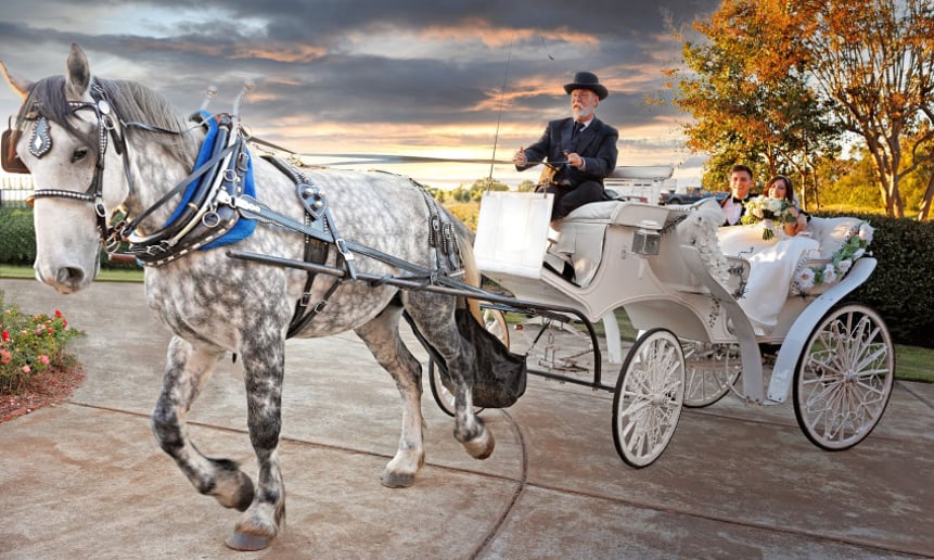 Gallery photo 11 of Southern Charm Carriages LLC