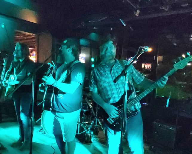 Gallery photo 6 of Southern Holler Band