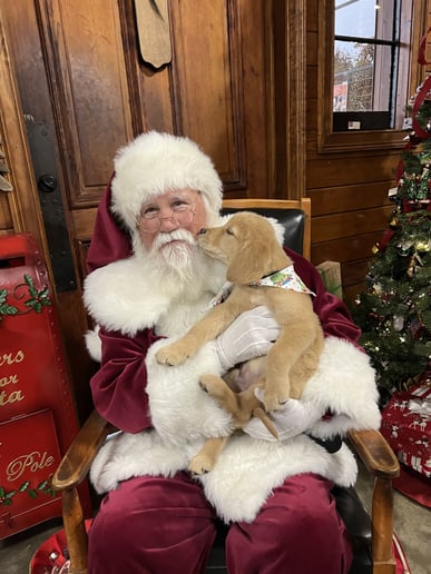 Gallery photo 2 of Southern Santa Claus