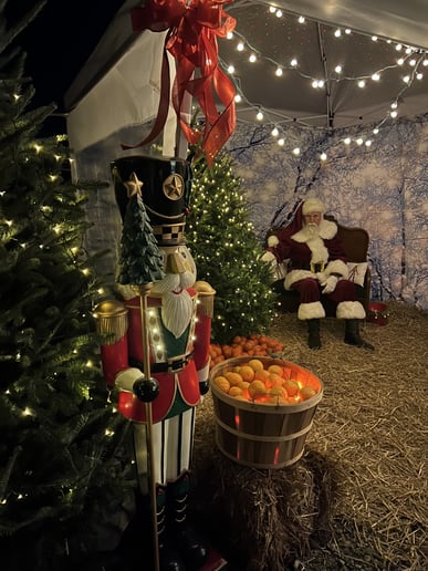 Gallery photo 3 of Southern Santa Claus