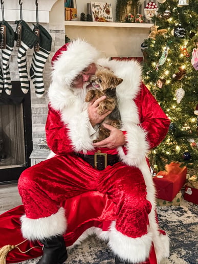 Gallery photo 8 of Southern Santa Claus