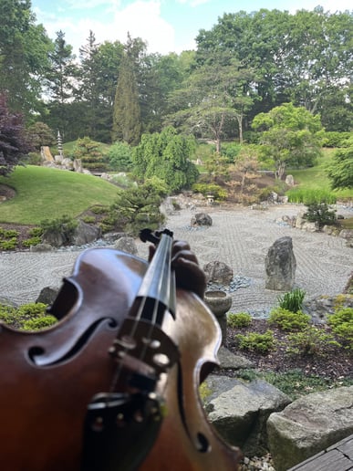 Gallery photo 6 of Southern Strings