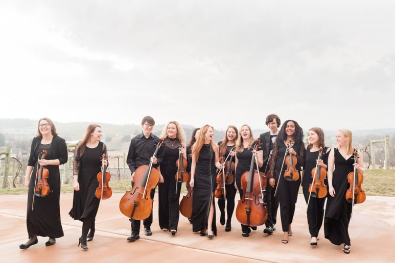 Gallery photo 4 of Southern Strings