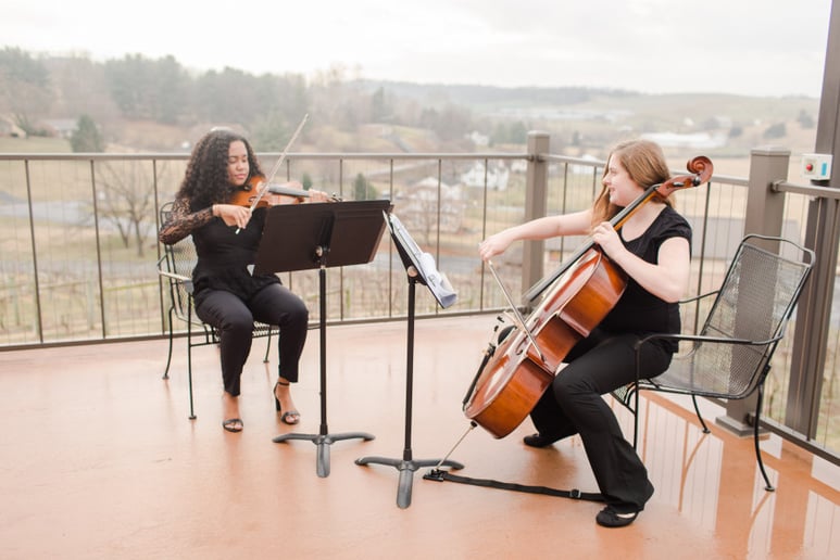 Gallery photo 8 of Southern Strings