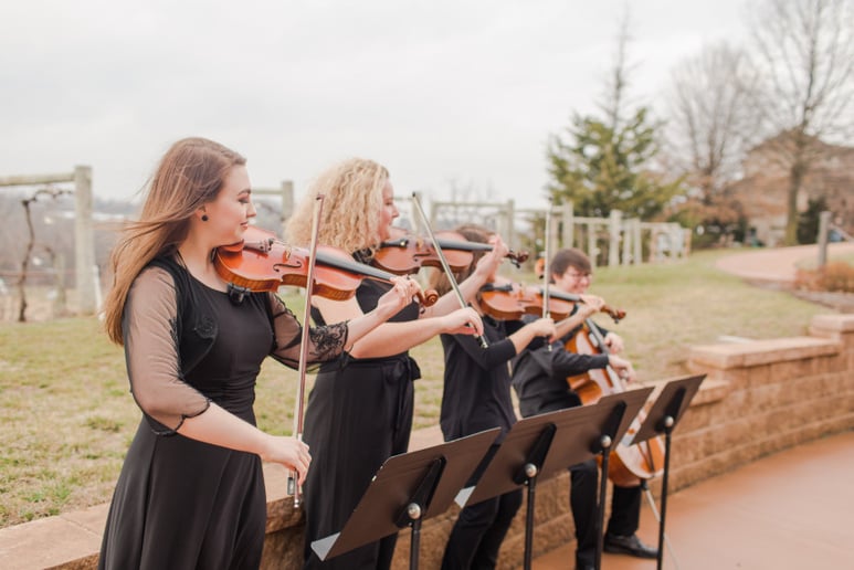 Gallery photo 7 of Southern Strings