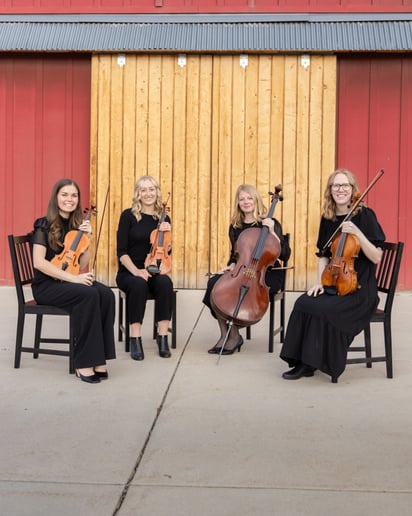 Gallery photo 5 of Souvenir Strings