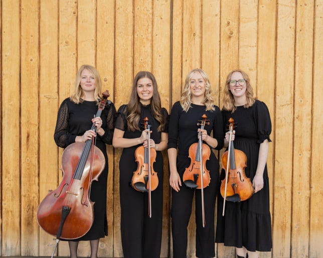 Gallery photo 6 of Souvenir Strings