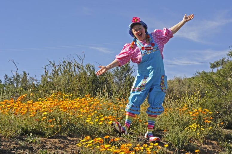 Gallery photo 10 of Sparkles the Clown