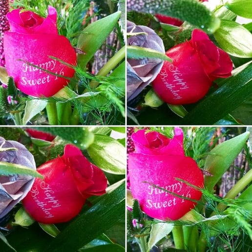 Gallery photo 6 of Speaking Roses-Lake Charles