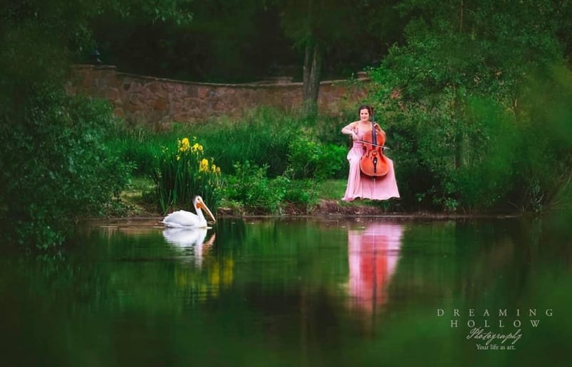 Gallery photo 6 of Special Occasion Music