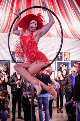 Gallery photo 10 of LeXircus - Arts & Entertainment
