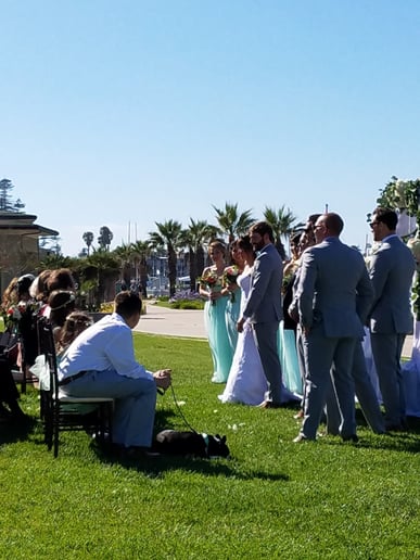 Gallery photo 2 of Specialty Entertainment DJ Service
