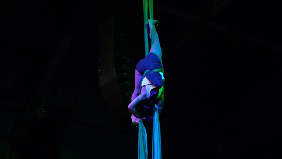 Gallery photo 22 of Specialty Entertainment
