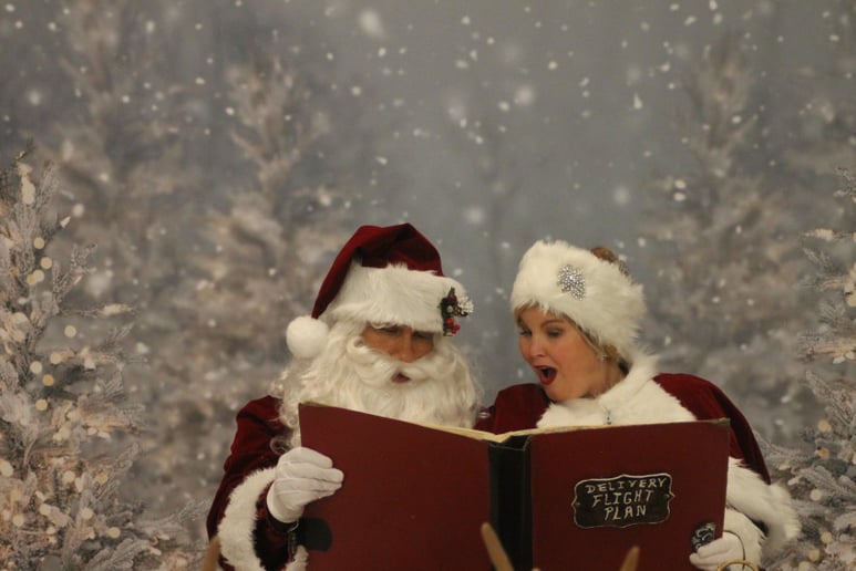 Gallery photo 8 of Specialty Holiday Entertainment