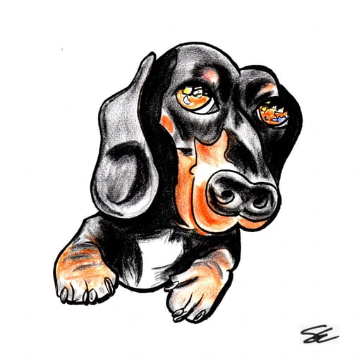 Gallery photo 5 of Spencer Art/ Draw For Smiles