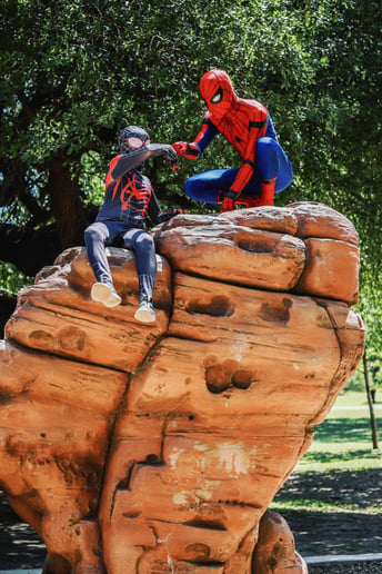 Gallery photo 1 of Spider-Man Birthday Entertainment