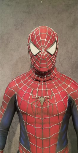 Gallery photo 2 of Spider-Man Party Character