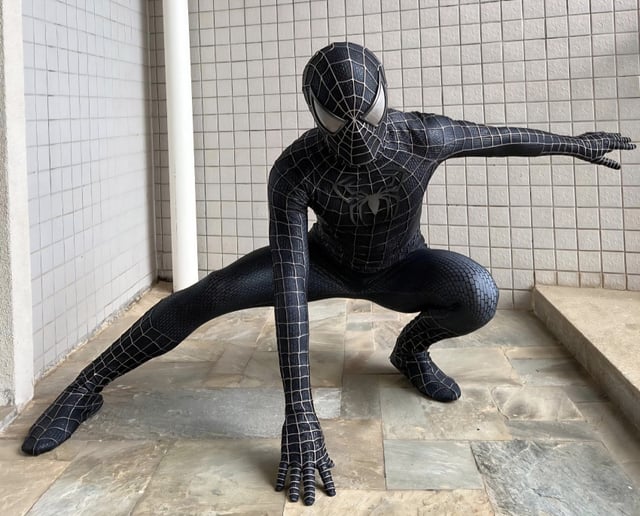 Gallery photo 4 of Spider-Man Party Character