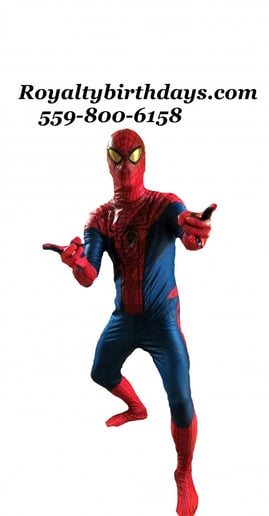 Gallery photo 2 of Spider Guy Superhero Parties