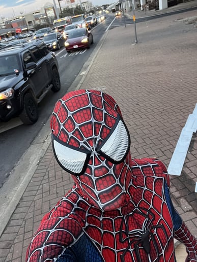 Gallery photo 5 of Spider Man