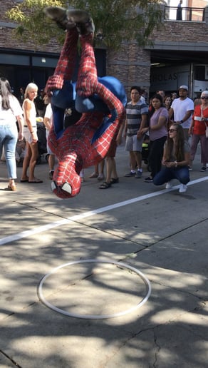 Gallery photo 7 of SpiderParties