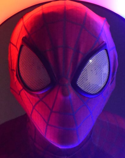Gallery photo 2 of SpiderParties