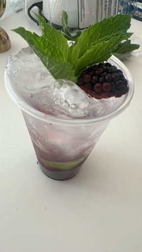 Gallery photo 8 of Spiked N Spicy