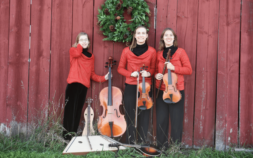Gallery photo 6 of Spirited Strings