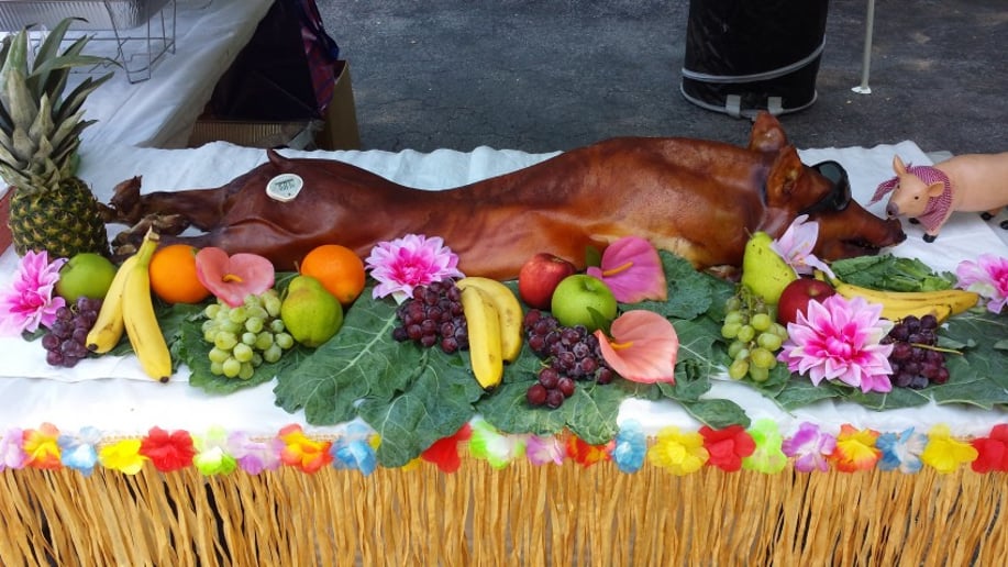 Gallery photo 1 of Spit-n-Pig Roasting Service