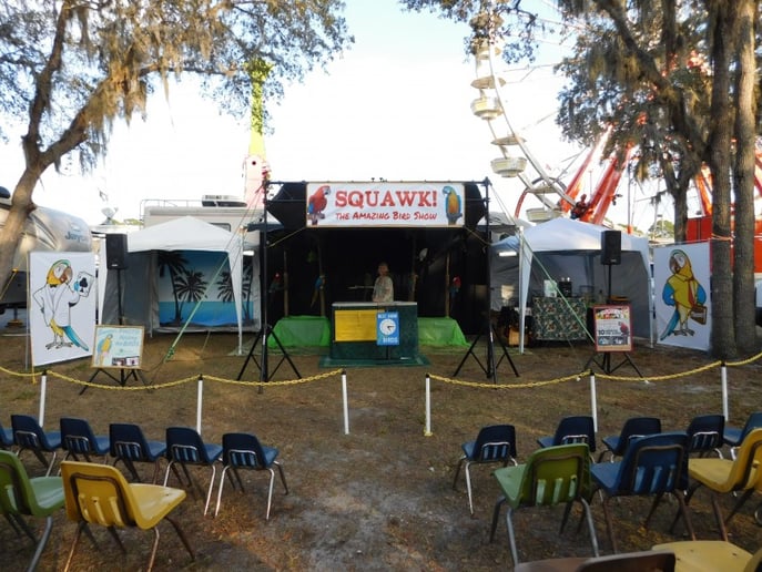 Gallery photo 4 of Squawk! The Amazing Bird Show