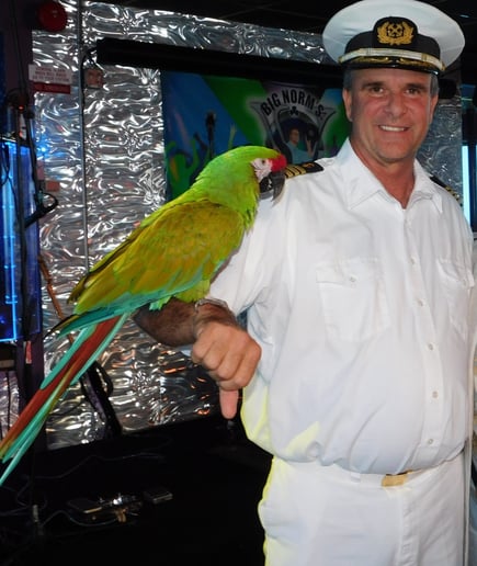 Gallery photo 5 of Squawk! The Amazing Bird Show