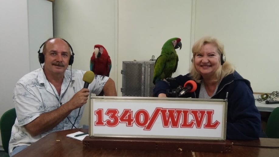 Gallery photo 7 of Squawk! The Amazing Bird Show