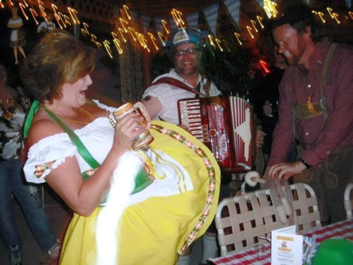 Gallery photo 3 of Squeezebox Hero