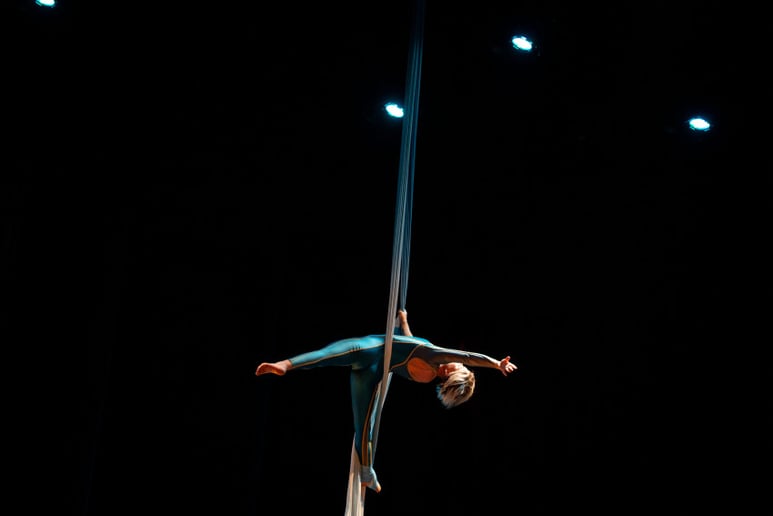 Gallery photo 6 of Lou Kramer Stiltwalker & Aerialist