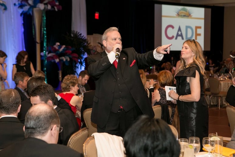 Gallery photo 4 of Hanley Charity Auctions