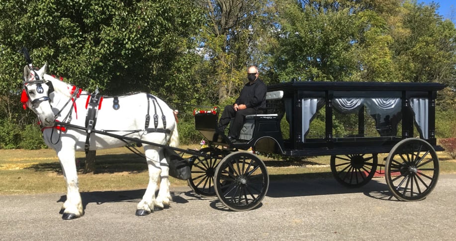 Gallery photo 2 of St. Louis Horse Drawn Carriage & Funeral