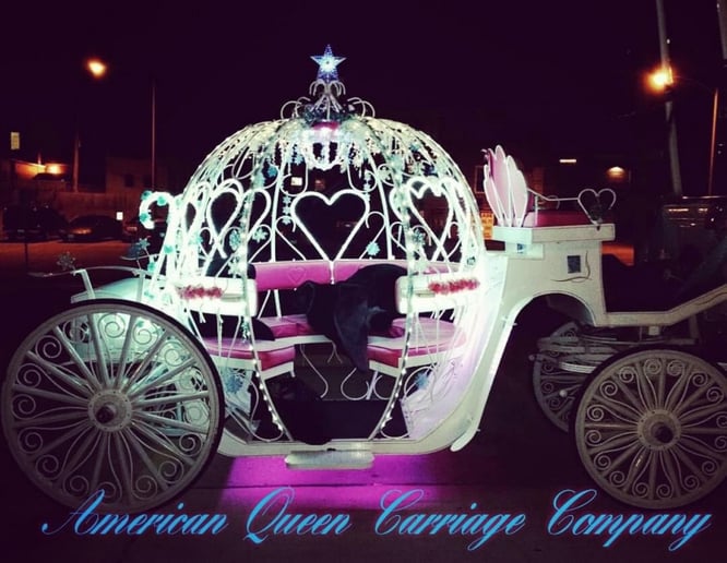 Gallery photo 3 of St. Louis Horse Drawn Carriage & Funeral