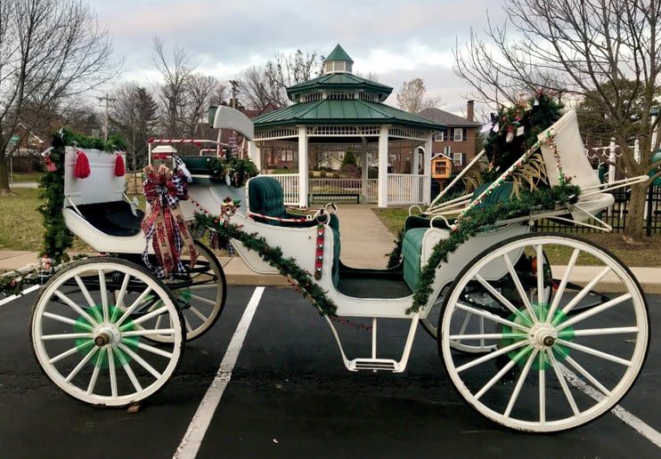 Gallery photo 4 of St. Louis Horse Drawn Carriage & Funeral
